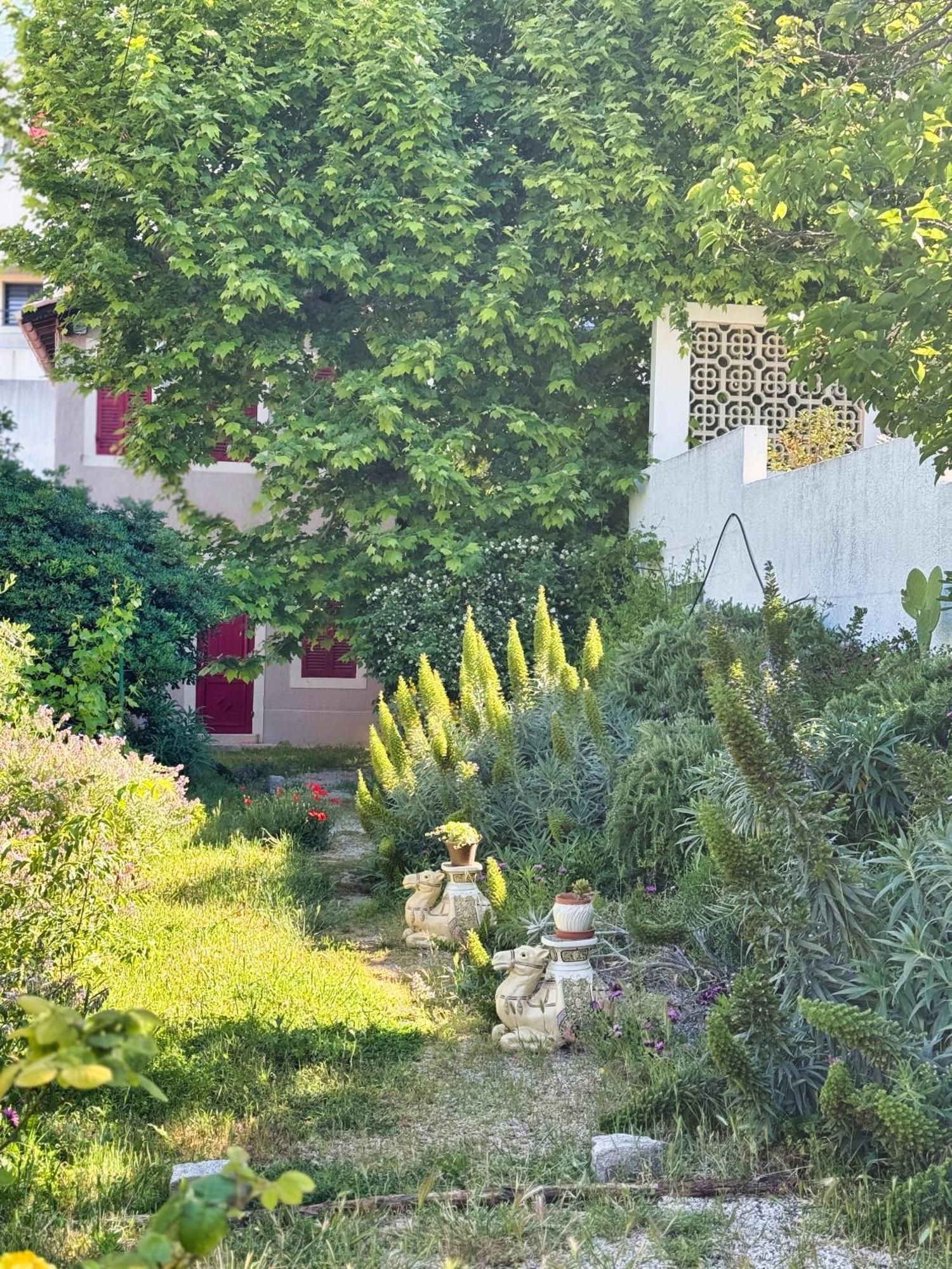 Maison De Charme Classee 3 Etoiles - Calme, Jardin, Salle De Sport, Piscine * Marseilles