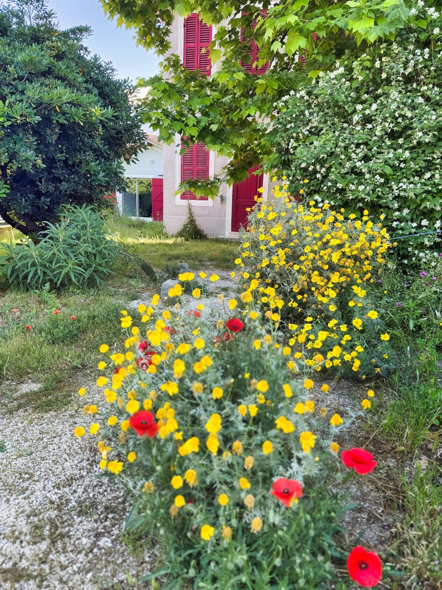 Maison De Charme Classee 3 Etoiles - Calme, Jardin, Salle De Sport, Piscine * Marseilles